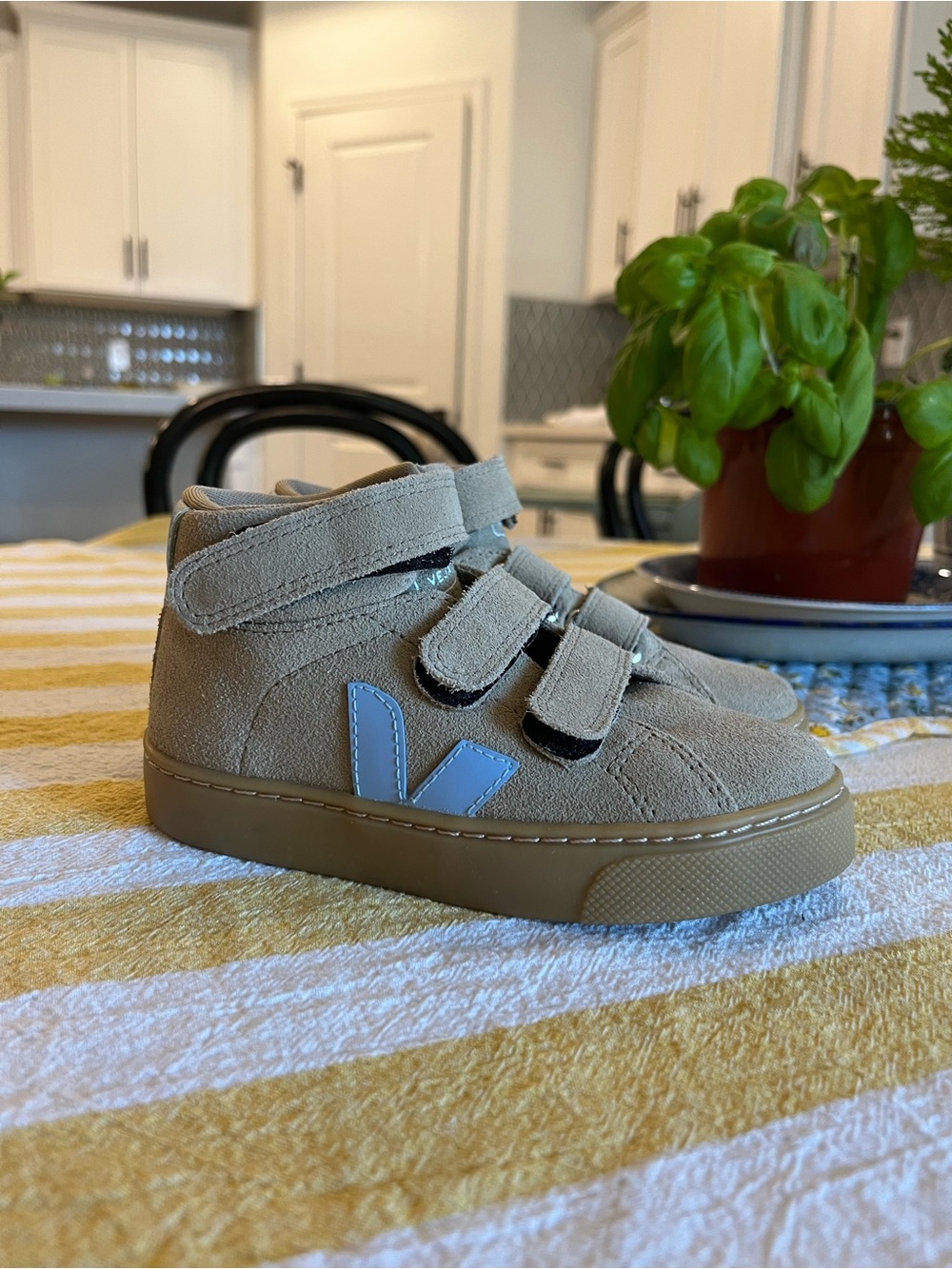 Kids Veja